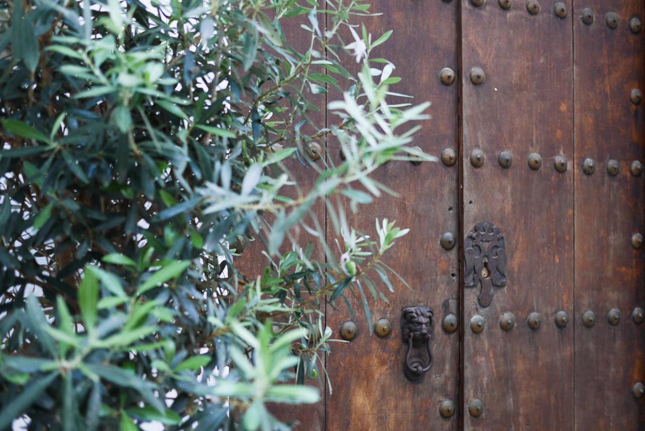 Apartmán La Pileta - Grupo Califa Vejer de la Frontera Exteriér fotografie